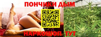 прущие грибы Краснокаменск