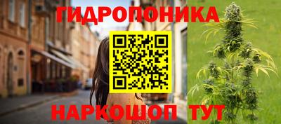 прущие грибы Краснокаменск