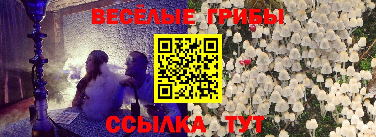 Псилоцибиновые грибы Cubensis  Вход с VPN  Чебоксары 