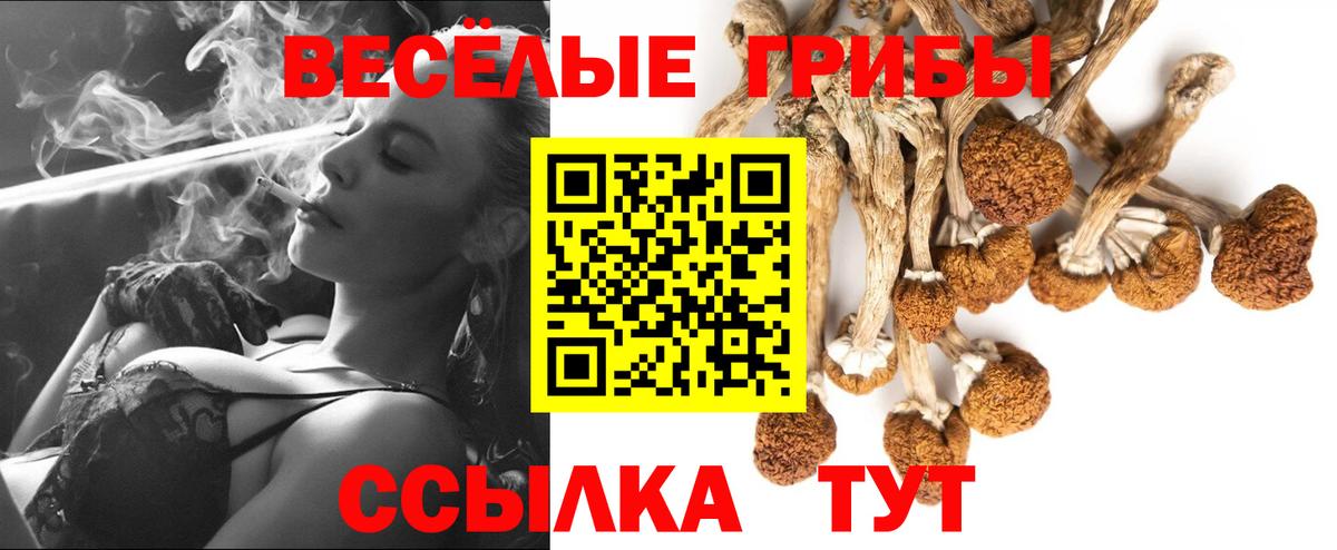 Галлюциногенные грибы мухоморы Чебоксары